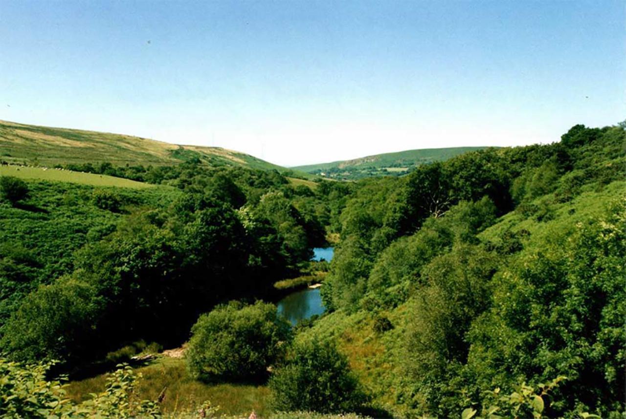 Barn Cottage - Farm Park Stay With Hot Tub Swansea Esterno foto