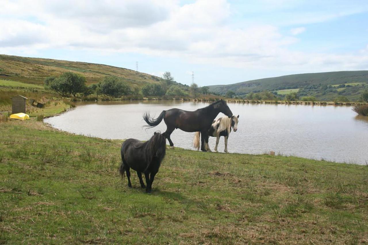 Barn Cottage - Farm Park Stay With Hot Tub Swansea Esterno foto