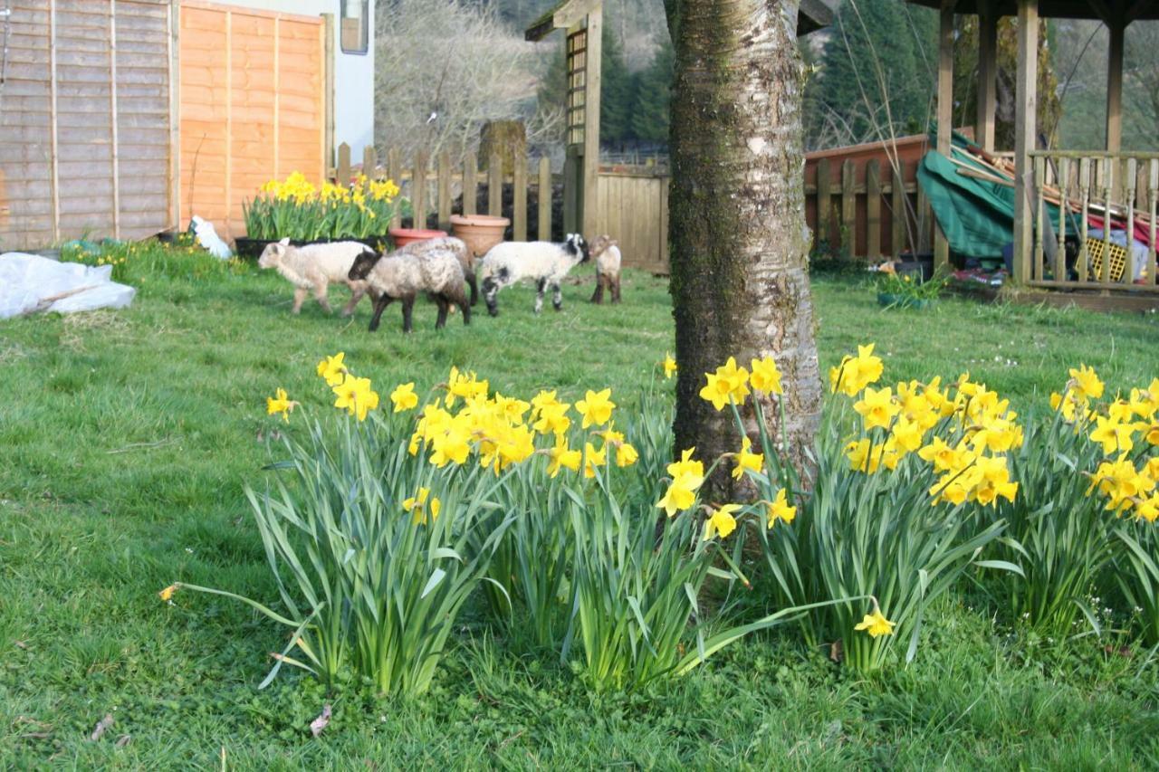 Barn Cottage - Farm Park Stay With Hot Tub Swansea Esterno foto